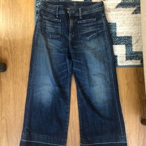 AGOLDE June High Rise Sailor Wide Leg Crop Pants